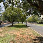 Cleaned and Mowed De Bruyn Street