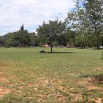 Cleaned and Mowed JF & Paul Kruger Park