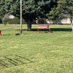 Cleaned and Mowed van Rooy Park