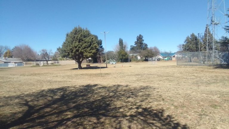 Van Rooy Park & Alley Mowed