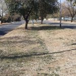 De Bruyn Median Cut and Cleaned