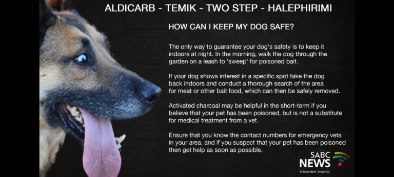 Dog Poisoning on the Rise in Bloemfontein