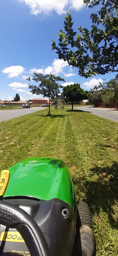 Median in De Bruyn Mowed