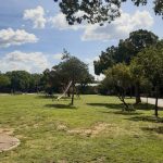UWNA cleaned and mowed Forsyth Park