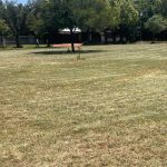 JF park grass cut