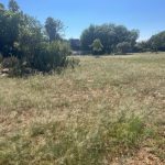 Before photo of JF park grass cut