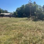 Before photo of JF park grass cut