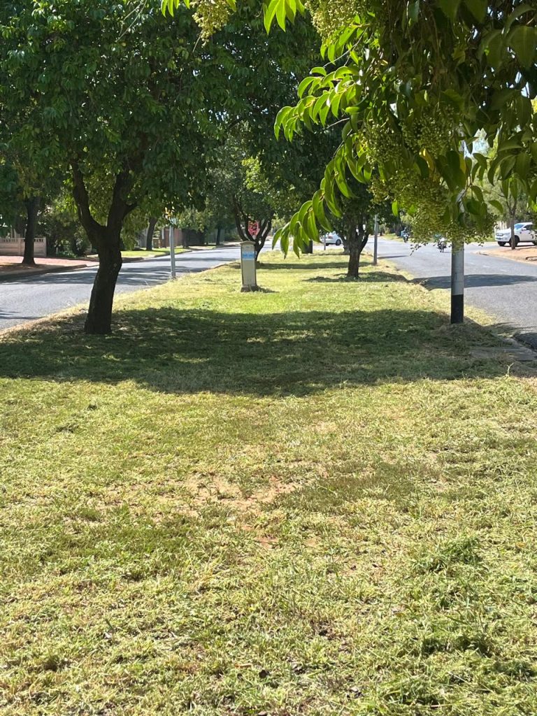 De Bruyn Street Median Cut
