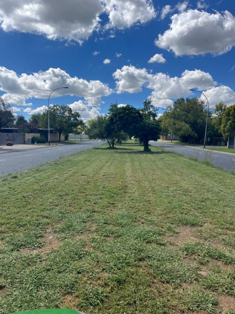 Northern part of De Bruyn Street's median mowed