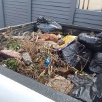 Paul Kruger Park and Avenue Cleaned Up