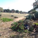 Kwartzpark Cleaned