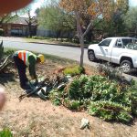 Kwartzpark Cleaned