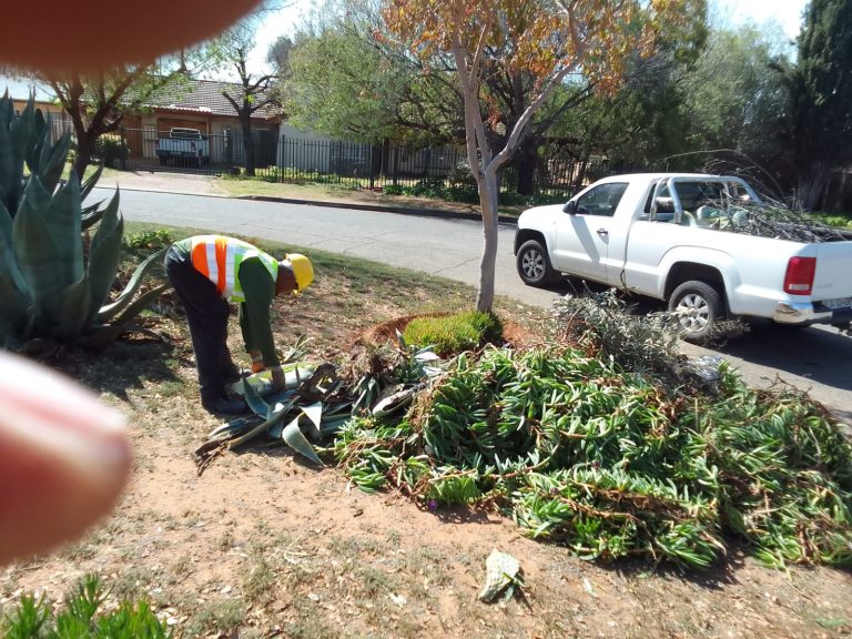 Kwartzpark Cleaned