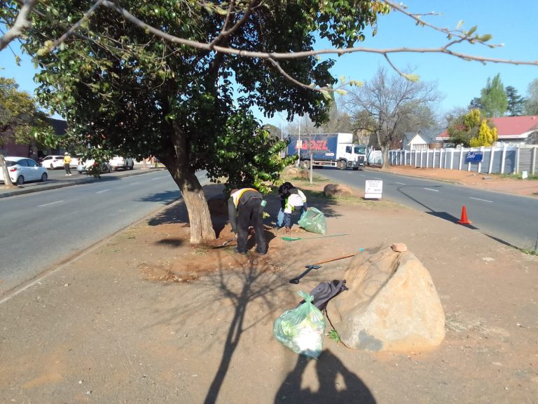 Medians at Paul Kruger Ave Cleaned