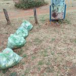 Kwartzpark cleaned up