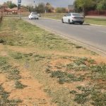 Northern De Bruyn street medians cut