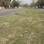 Northern De Bruyn street medians cut