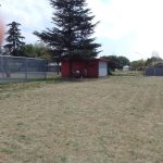 Rooy Park Cut and Cleaned