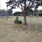 Rooy Park Cut and Cleaned