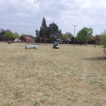Rooy Park Cut and Cleaned