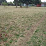 Rooy Park Cut and Cleaned