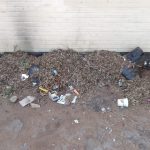 JF Park cleaned up