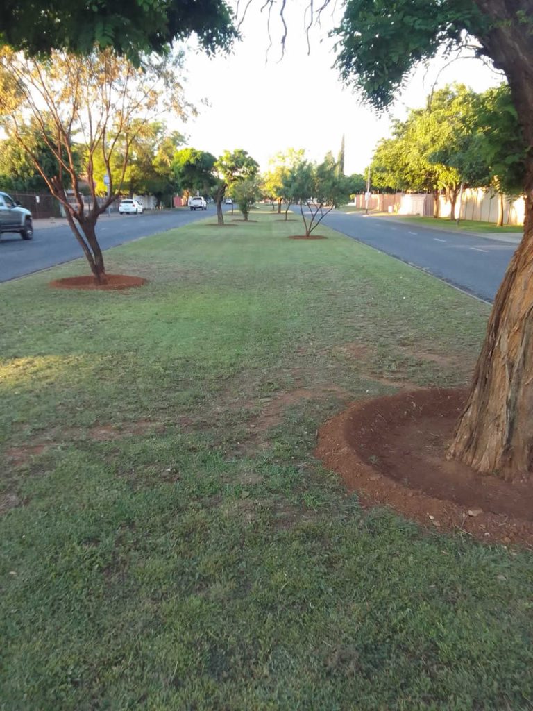 Northern De Bruyn street Grass Cut