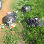Pikkie Park (Play Area) Cleaned