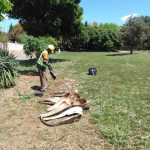 President Paul Kruger Park Cleaned Up