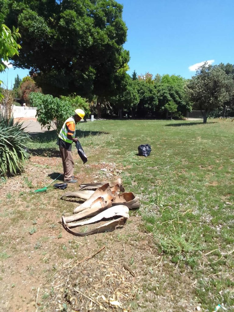 President Paul Kruger Park Cleaned Up