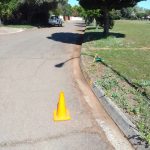 President Paul Kruger Park Cleaned Up
