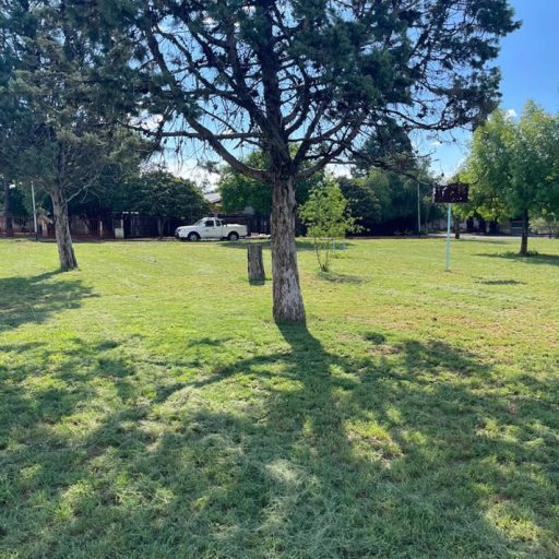 Cleaned and Mowed De Bruyn Str & Van Rooy Park