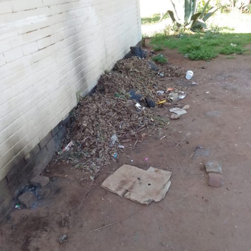 JF Park cleaned up