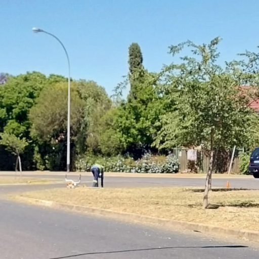 Local Nieghbourhood cut and cleaned