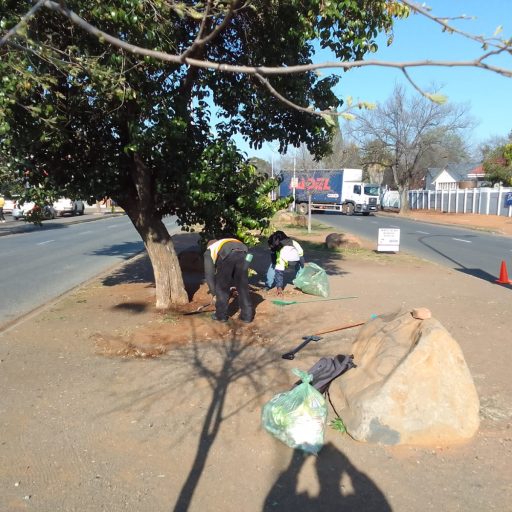 Medians at Paul Kruger Ave Cleaned