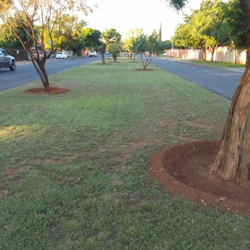 Northern De Bruyn street Grass Cut